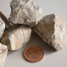 Load image into Gallery viewer, Picture Jasper - Song of Stones