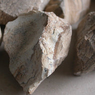 Picture Jasper - Song of Stones