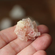 Load image into Gallery viewer, Pink Halite - Song of Stones