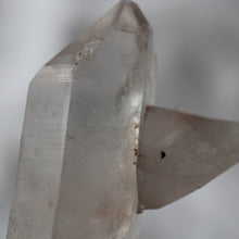 Load image into Gallery viewer, llais - Pink Whale Crystal