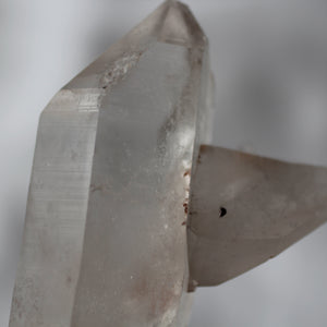 llais - Pink Whale Crystal