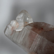 Load image into Gallery viewer, llais - Pink Whale Crystal