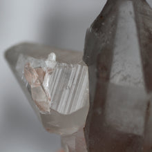Load image into Gallery viewer, llais - Pink Whale Crystal