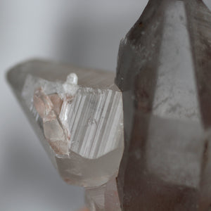 llais - Pink Whale Crystal