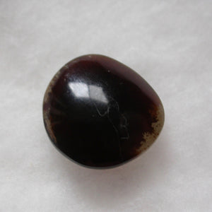 Polished Blue Amber - Song of Stones