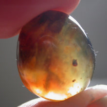 Load image into Gallery viewer, Polished Blue Amber - Song of Stones