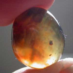 Polished Blue Amber - Song of Stones