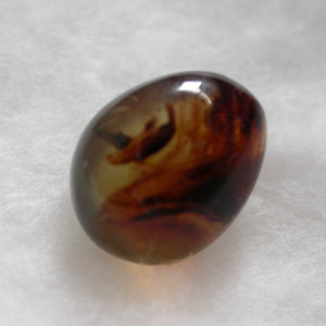 Polished Blue Amber - Song of Stones