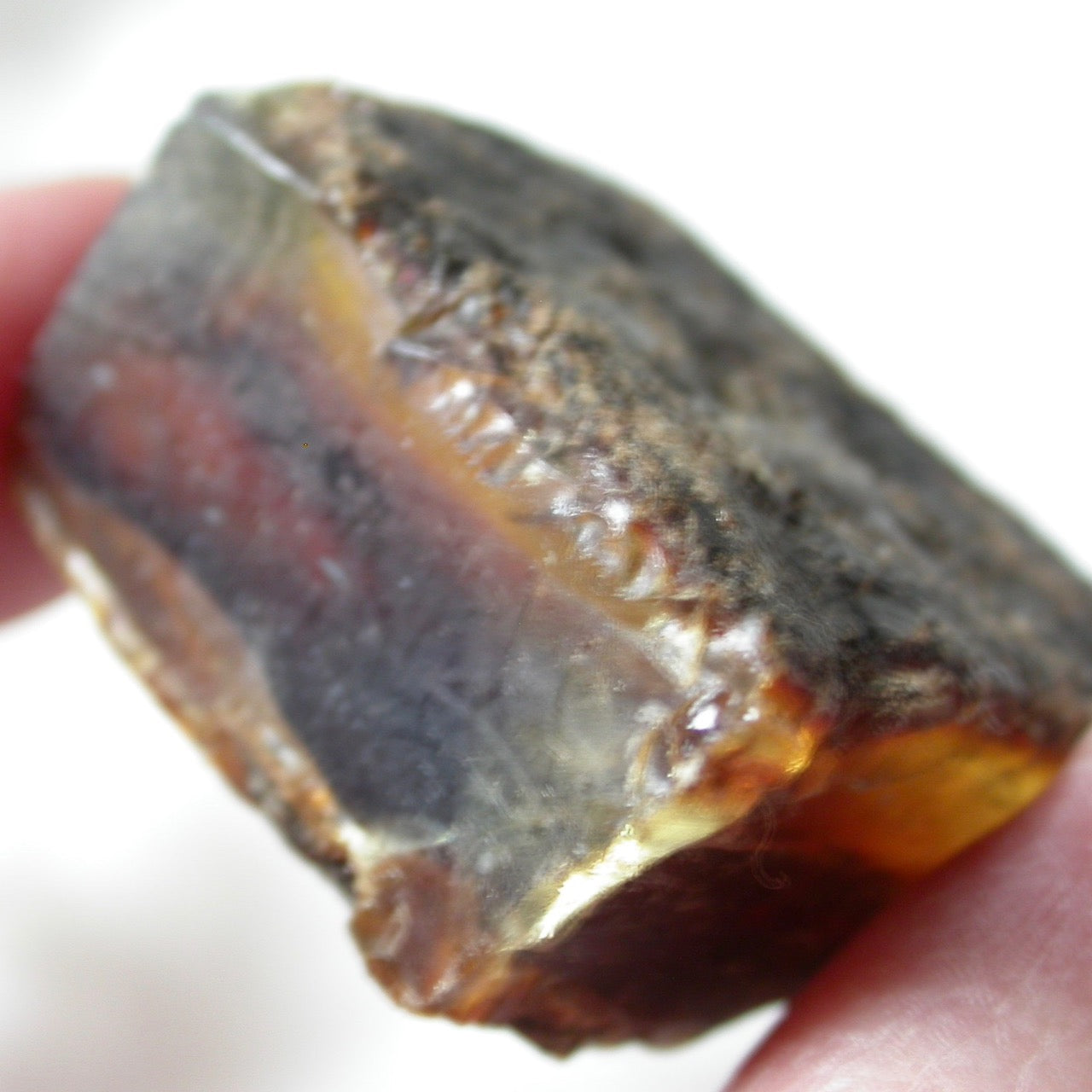 Raw Amber, Blue Amber, Crystals, 19.4 Grams