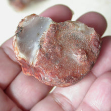 Load image into Gallery viewer, Raw Carnelian - Song of Stones