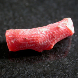 Raw Natural Red Coral - Song of Stones