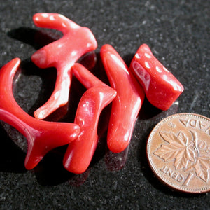Polished Natural Red Coral - Song of Stones