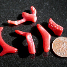 Load image into Gallery viewer, Polished Natural Red Coral - Song of Stones