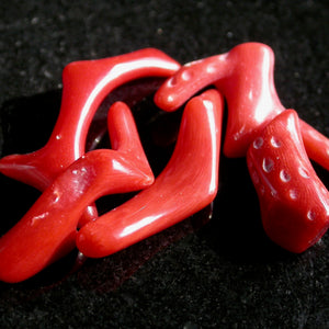 Polished Natural Red Coral - Song of Stones