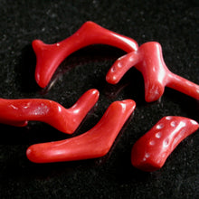 Load image into Gallery viewer, Polished Natural Red Coral - Song of Stones