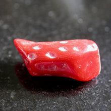 Load image into Gallery viewer, Polished Natural Red Coral - Song of Stones