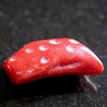 Load image into Gallery viewer, Polished Natural Red Coral - Song of Stones