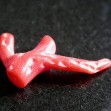 Load image into Gallery viewer, Polished Natural Red Coral - Song of Stones