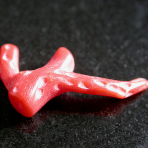 Polished Natural Red Coral - Song of Stones