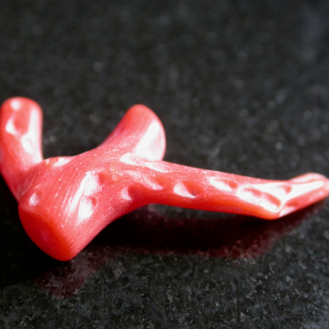 Polished Natural Red Coral - Song of Stones