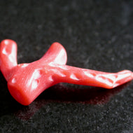 Polished Natural Red Coral - Song of Stones