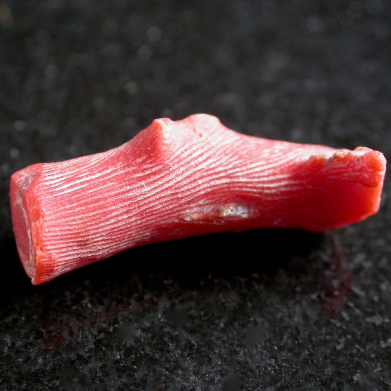 Raw red coral top
