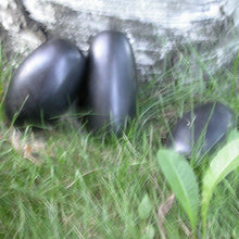 Load image into Gallery viewer, Black River Eggs - The Secret of Stones - Song of Stones