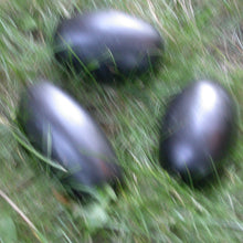 Load image into Gallery viewer, Black River Eggs - The Secret of Stones - Song of Stones
