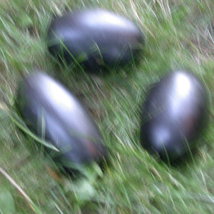 Black River Eggs - The Secret of Stones - Song of Stones