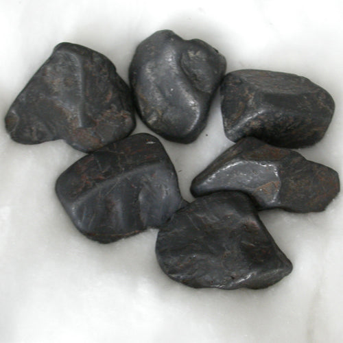 Raw River Tumbled Shungite - Song of Stones