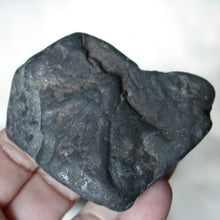 Load image into Gallery viewer, Raw River Tumbled Shungite - Song of Stones