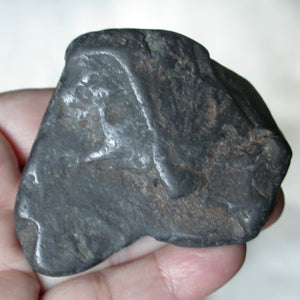 Raw River Tumbled Shungite - Song of Stones