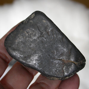 Raw River Tumbled Shungite - Song of Stones