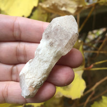 Load image into Gallery viewer, Sacred Scepter Crystal Blessing - Song of Stones
