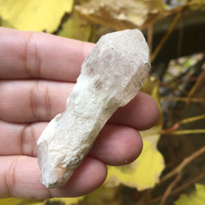 Sacred Scepter Crystal Blessing - Song of Stones