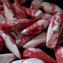 Load image into Gallery viewer, Natural Salmon Red Coral Beads - Song of Stones
