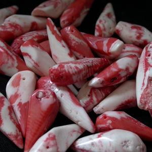 Natural Salmon Red Coral Beads - Song of Stones