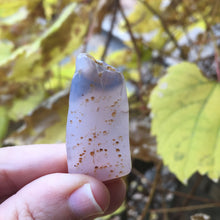 Load image into Gallery viewer, Holly Blue Seed Pod - Song of Stones