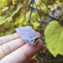 Load image into Gallery viewer, Holly Blue Seed Pod - Song of Stones