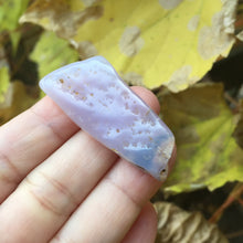 Load image into Gallery viewer, Holly Blue Seed Pod - Song of Stones