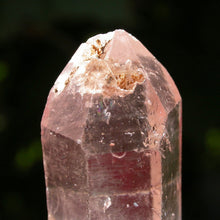 Load image into Gallery viewer, Separated Sceptre - Song of Stones