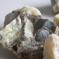 Septarian Dragon Stones - Song of Stones