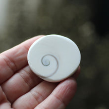 Load image into Gallery viewer, Shiva&#39;s Eye Shell - Song of Stones