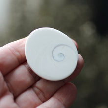 Load image into Gallery viewer, Shiva&#39;s Eye Shell - Song of Stones