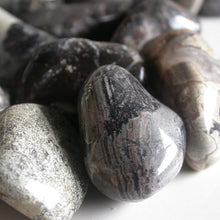 Load image into Gallery viewer, Silver Mist Jasper - Song of Stones