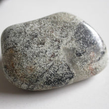 Load image into Gallery viewer, Silver Mist Jasper - Song of Stones