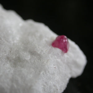 Spinel in White Marble - Song of Stones