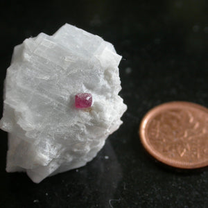 Spinel in White Marble - Song of Stones