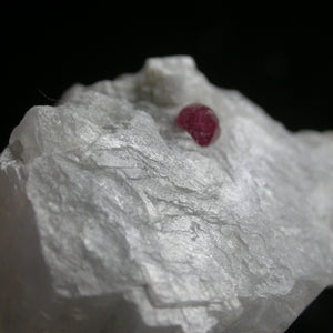 Spinel in White Marble - Song of Stones