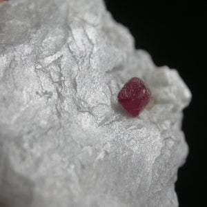 Spinel in White Marble - Song of Stones
